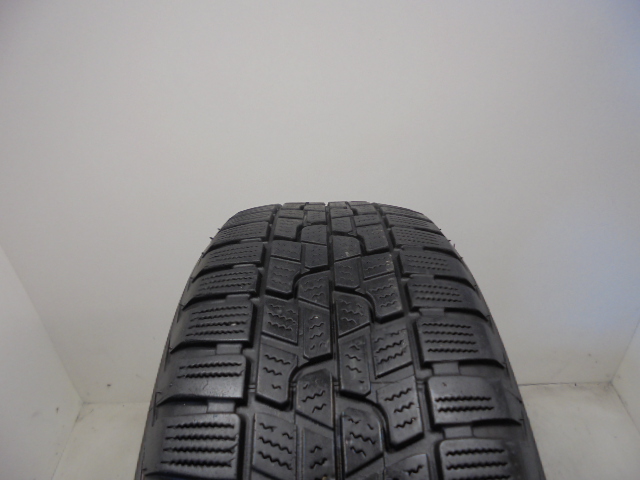 Firestone Winterhawk 2 Evo guma