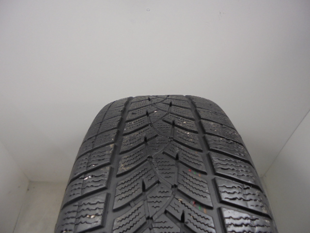 Goodyear Ultragrip Performance G1 guma
