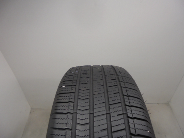 Dunlop Sport All season guma