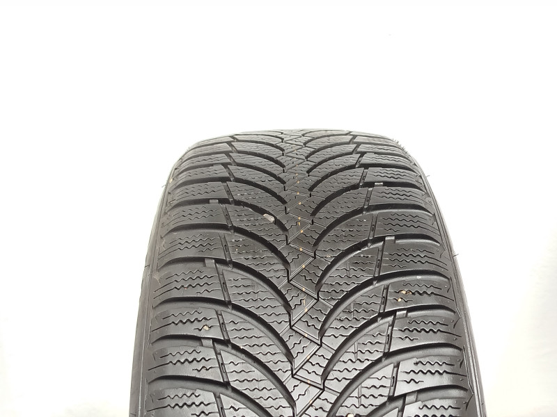 Nexen Winguard Snow WH2 guma
